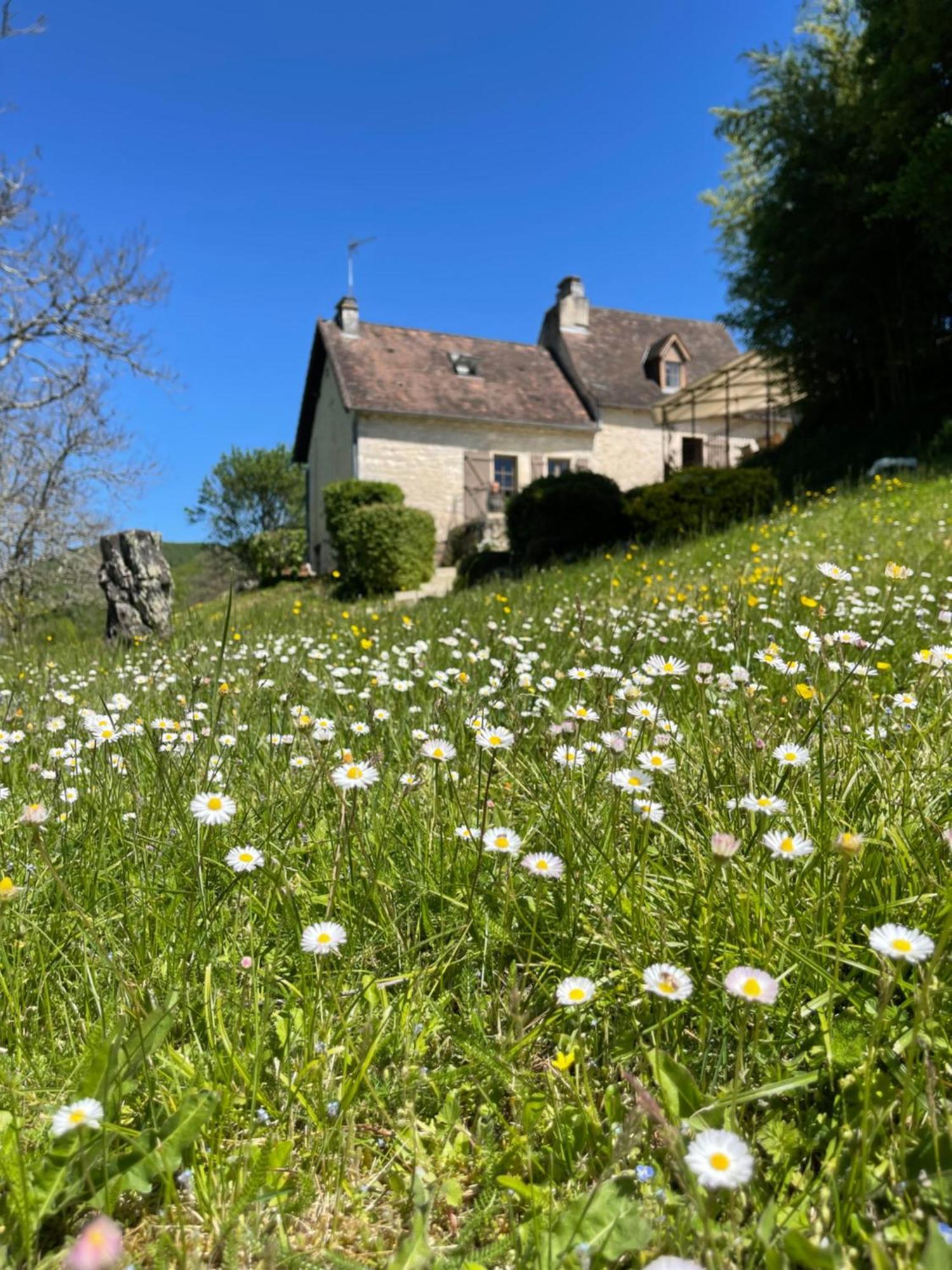 Domaine Du Bonheur En Pierre Avec Piscine, Proche Sarlat Villa Carlux Eksteriør billede